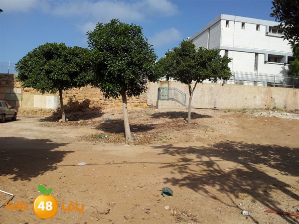 okhouwaqa3sport410 (1).jpg